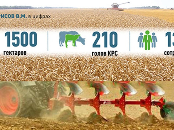 Плуг оборотный AGRO-MASZ POL 4 оценка пользователя – отлично